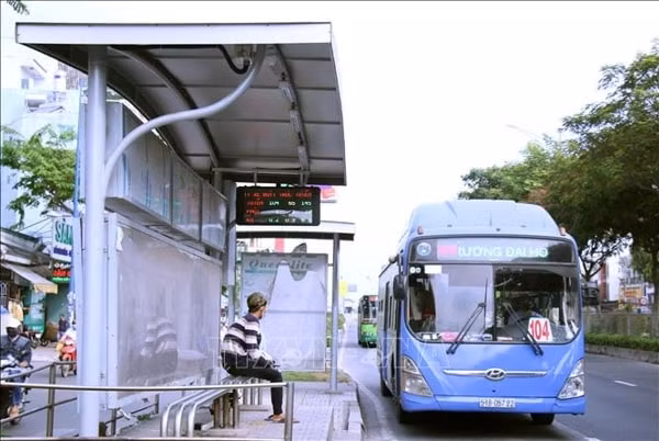 Mức trợ giá xe buýt năm 2020 của TP HCM là 1.150 tỷ đồng, nhưng không đủ nên sẽ được bổ sung. Ảnh minh họa