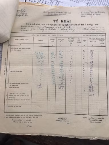 Năm 1993, gia đình ông Hòa, bà Hoa đã có tờ khai nộp thuế trong đó kê khai rõ diện tích nộp thuế thửa đất số 89, tờ bản đồ 19.