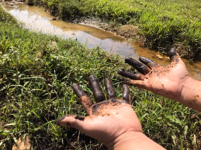 Dọc suối Đồng Bãi (huyện Thạch Thất, TP Hà Nội) xuất hiện nhiều điểm bùn đen nghi nhiễm dầu.