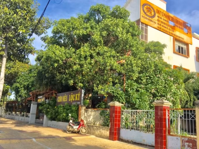 Người trúng đấu giá đã chuyển nhượng tài sản tiếp cho người khác nhưng gần 2 năm qua Chi cục THA TP.Phan Rang - Tháp Chàm vẫn 