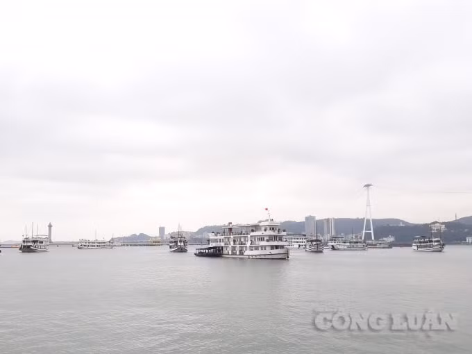 Du lịch, dịch vụ là một trong những ngành tăng trưởng cao trong 6 tháng đầu năm 2019 của Quảng Ninh