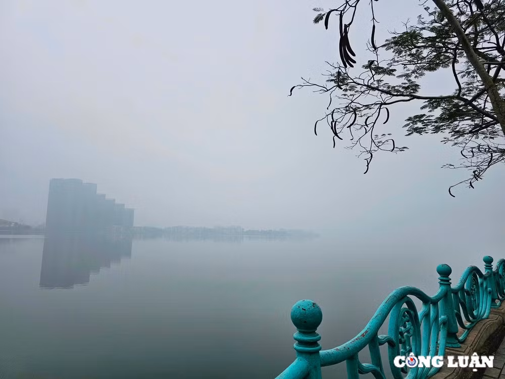 ho tay dep den la thuong trong lan suong mu mo ao hinh 6