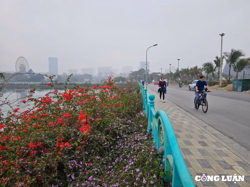 ho tay dep den la thuong trong lan suong mu mo ao hinh 14