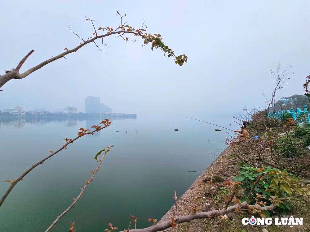 ho tay dep den la thuong trong lan suong mu mo ao hinh 5