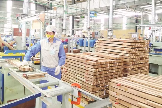Mỹ xem xét đánh thuế với gỗ dán nhập khẩu của Việt Nam