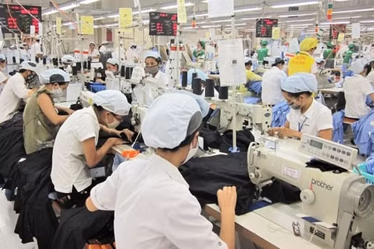 Quảng Nam đưa BHXH, BHYT, BH thất nghiệp vào chỉ tiêu phát triển kinh tế - xã hội năm 2021