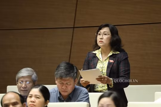 Sáp nhập Văn phòng Đoàn đại biểu Quốc hội ‘không phù hợp’ và ‘khập khiễng’