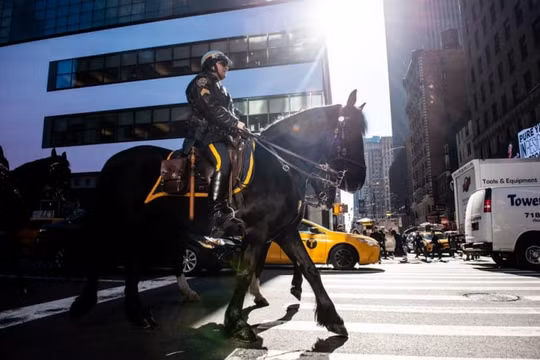 Khám phá thú vị về lực lượng kỵ binh tại New York