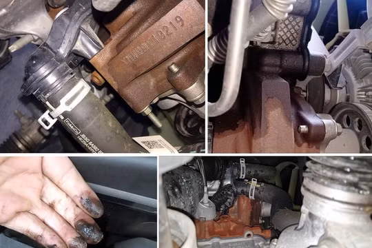 Ford giải thích nguyên nhân động cơ diesel 2.0L chảy dầu