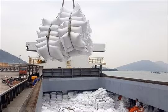 Triển khai thực hiện giải pháp điều hành xuất khẩu gạo