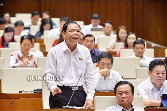 Đại biểu Quốc hội không đồng tình “thịt lợn đắt quá thì chuyển qua ăn thịt gà”