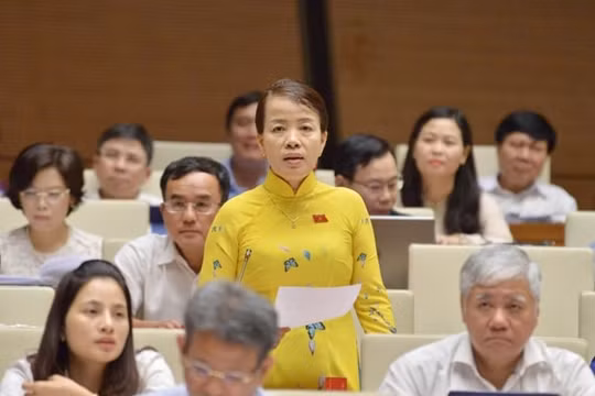 Có hiện tượng chạy chọt "cửa sau" trong lựa chọn sách giáo khoa mới