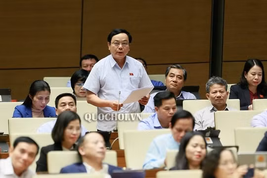 ‘Vi phạm trong hoạt động tố tụng đang bào mòn lòng tin của người dân’