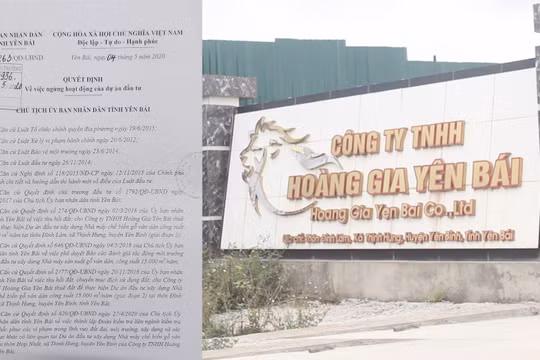Công ty TNHH Hoàng Gia Yên Bái “nhờn luật”?