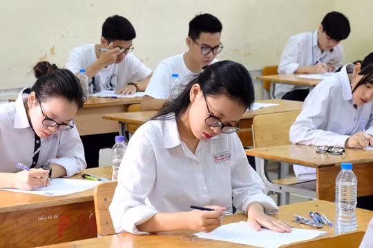 Đề thi môn Sinh học kỳ thi tốt nghiệp THPT 2020 đợt 2, mã đề 224