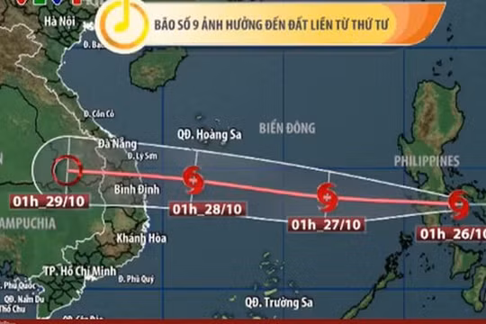 Thủ tướng: Dừng các cuộc họp không cần thiết để tập trung chống bão, lũ