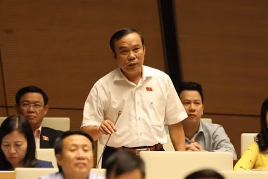 Đại biểu Quốc hội "nghi" 5 doanh nghiệp nhập khẩu, phân phối thiết bị y tế là sân sau của một vài người?