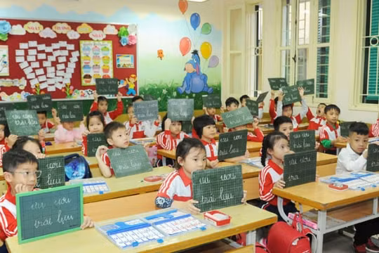 Môn tiếng Việt lớp 1: Nhiều ý kiến phản ánh "nặng và khó hơn" so với chương trình cũ
