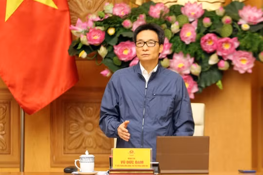 Phó Thủ tướng Vũ Đức Đam: Nguồn bệnh COVID-19 từ người nhập cảnh hợp pháp là nguy hiểm nhất