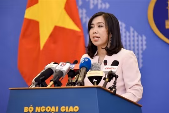 Bộ Ngoại giao Việt Nam sẵn sàng đưa công dân Việt Nam ở vùng có dịch nCoV về nước