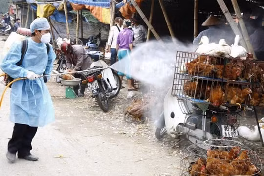 Thủ tướng Chính phủ yêu cầu không để dịch chồng dịch