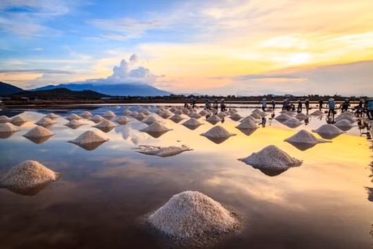 Hỗ trợ mô hình thí điểm sản xuất muối kết hợp du lịch nông thôn, du lịch nghỉ dưỡng