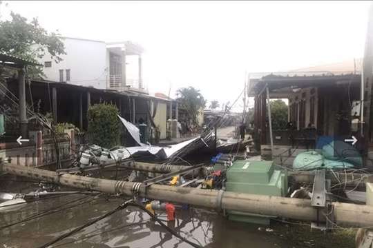 Bão số 5 khiến 3 người chết, 112 người bị thương