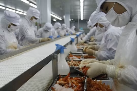 Làn sóng thất nghiệp sẽ tăng vọt vào cuối năm nay?
