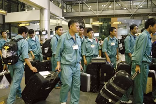 Hàn Quốc sẽ xem xét nối lại việc đưa lao động Việt Nam sang làm việc