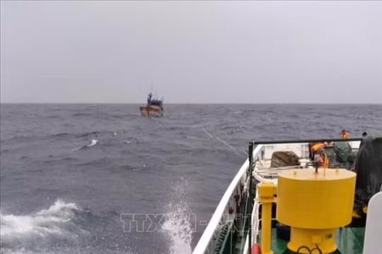 Huy động thêm tàu tìm kiếm tàu cá Bình Định gặp nạn trên biển