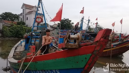 Nghệ An cấm biển từ 17 giờ ngày 13/11