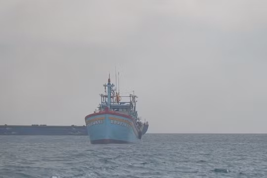 Phạt chủ tàu cá ở Bình Định 900 triệu đồng vì đánh bắt trên vùng biển nước ngoài
