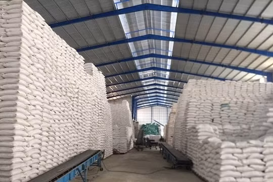 Đã nhập kho dự trữ quốc gia 190.000 tấn gạo và 80.000 tấn thóc