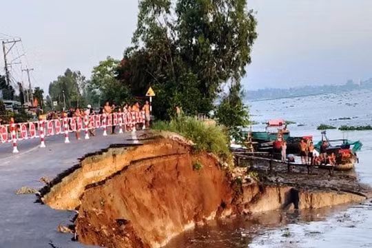An Giang: 27 hộ dân di dời khẩn cấp vì sạt lở nghiêm trọng
