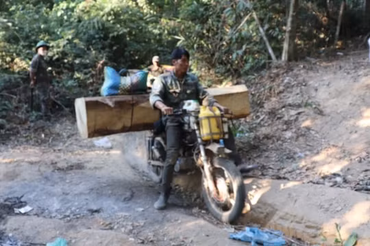 Kon Tum: Mật phục, bắt quả tang lâm tặc phá rừng có tổ chức