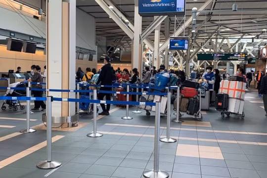 Đưa 276 công dân Việt Nam từ Canada về nước an toàn