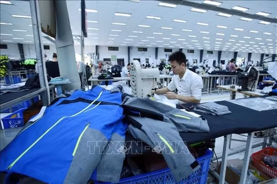 Ngày 1/8/2020, EVFTA chính thức có hiệu lực
