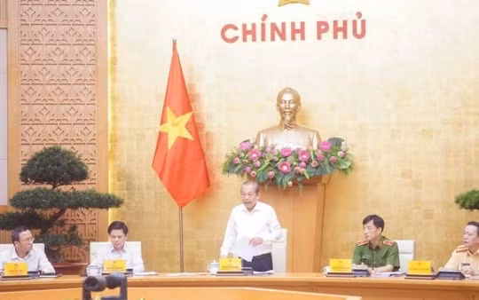 Cơ sở đào tạo, cấp giấy phép lái xe gian dối, để xảy ra tai nạn phải đóng cửa