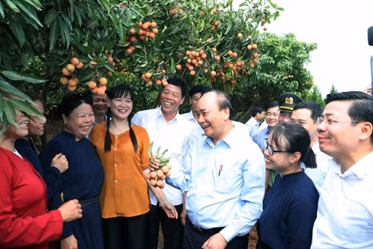Thủ tướng chia sẻ niềm vui với bà con vùng trồng vải thiều Bắc Giang
