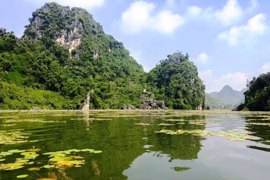 Bỏ túi điểm picnic gần Hà Nội thích hợp đi về trong ngày