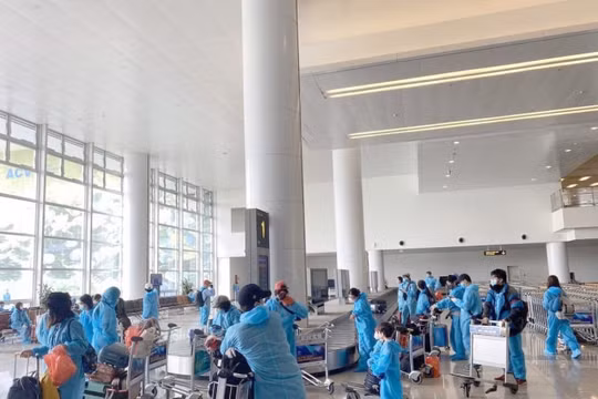 310 công dân Việt Nam ở Phần Lan, Thụy Điển về nước