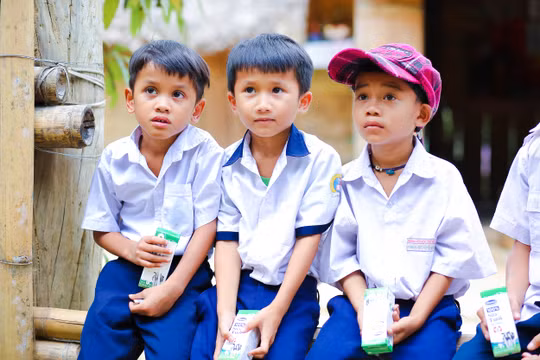 Sữa học đường Quảng Nam: Học sinh miền núi được uống sữa miễn phí