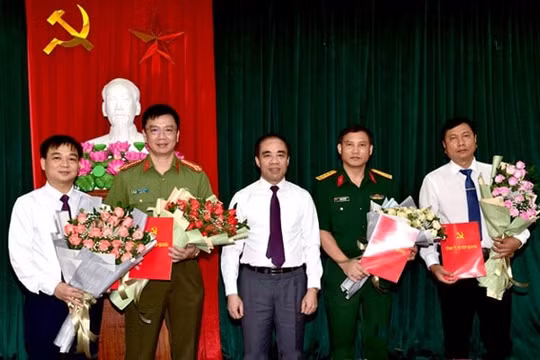 Tuyên Quang: Triển khai quyết định của Ban Bí thư về công tác cán bộ
