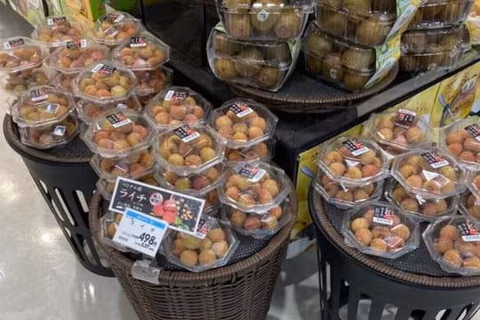 Vải thiều Bắc Giang 'cháy hàng' tại Nhật, giá bán lẻ tới 500.000 đồng/kg
