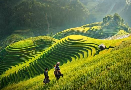 Xây dựng tỉnh Sơn La phát triển xanh, nhanh và bền vững