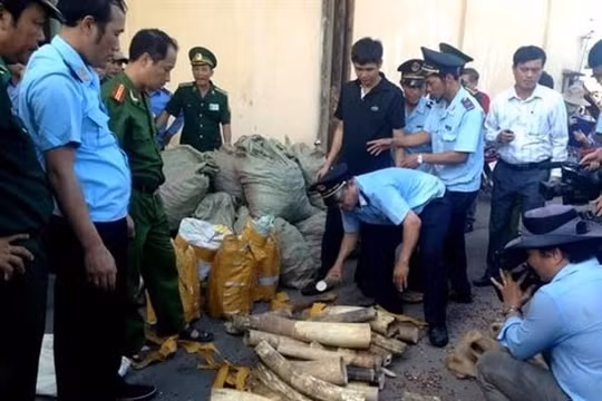 Thủ tướng Chính phủ chỉ thị dừng nhập khẩu động vật hoang dã