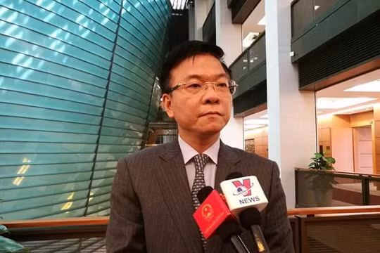 Thành lập Tổ công tác rà soát văn bản quy phạm pháp luật