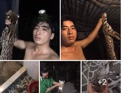 Bản tin pháp luật 8H: Dân quân xã giết hại động vật hoang dã, đăng Facebook khoe "chiến tích"