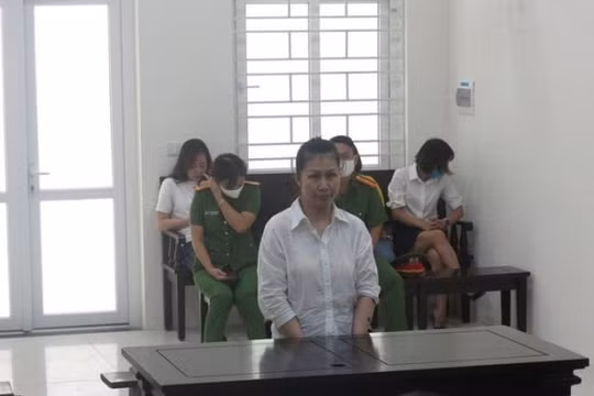 Thuê người làm giả 7 sổ đỏ để lừa đảo, "nữ quái" lãnh 15 năm tù