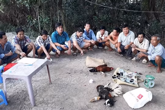 Triệt xóa tụ điểm đánh bạc trong vườn cam, bắt giữ 11 đối tượng liên quan